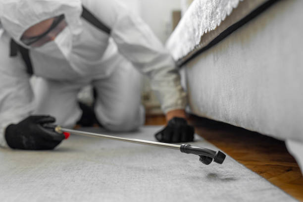 Professional Termite Control technician working in Clatskanie, OR