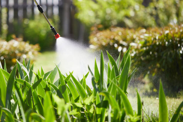 24/7 Emergency Termite Control experts in Clatskanie, OR