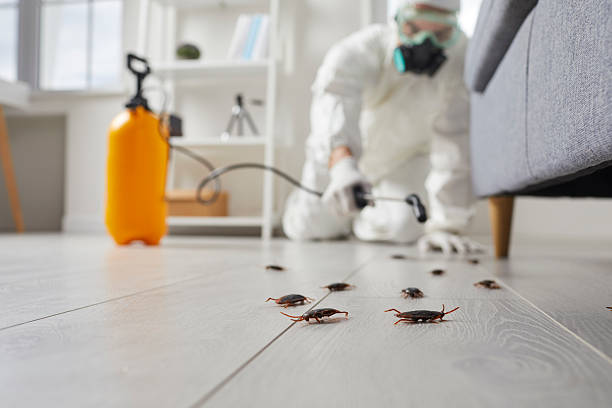 Trusted Cockroach Control service in Clatskanie, OR - Nex Pest Control