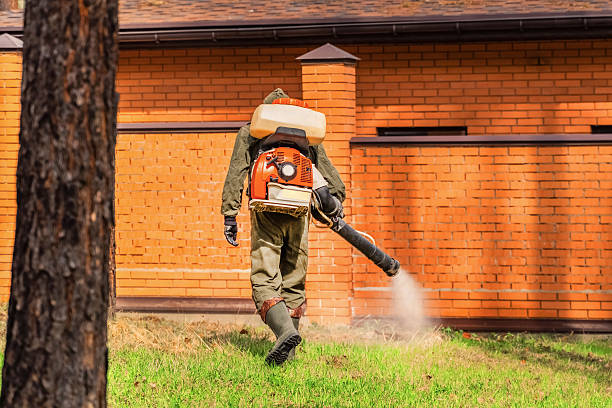 Trusted Termite Control service in Clatskanie, OR - Nex Pest Control